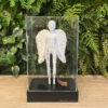 Escultura Anjo em Pé com Base Preta