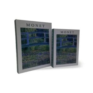Livro Caixa Monet - G