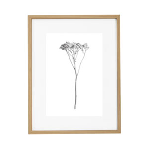 Quadro em MDF e Vidro - 43,5cm