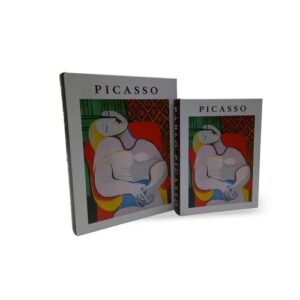 Livro Caixa Picasso  - G