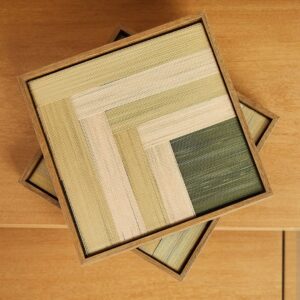 Quadro Planos Cactos - 20x20