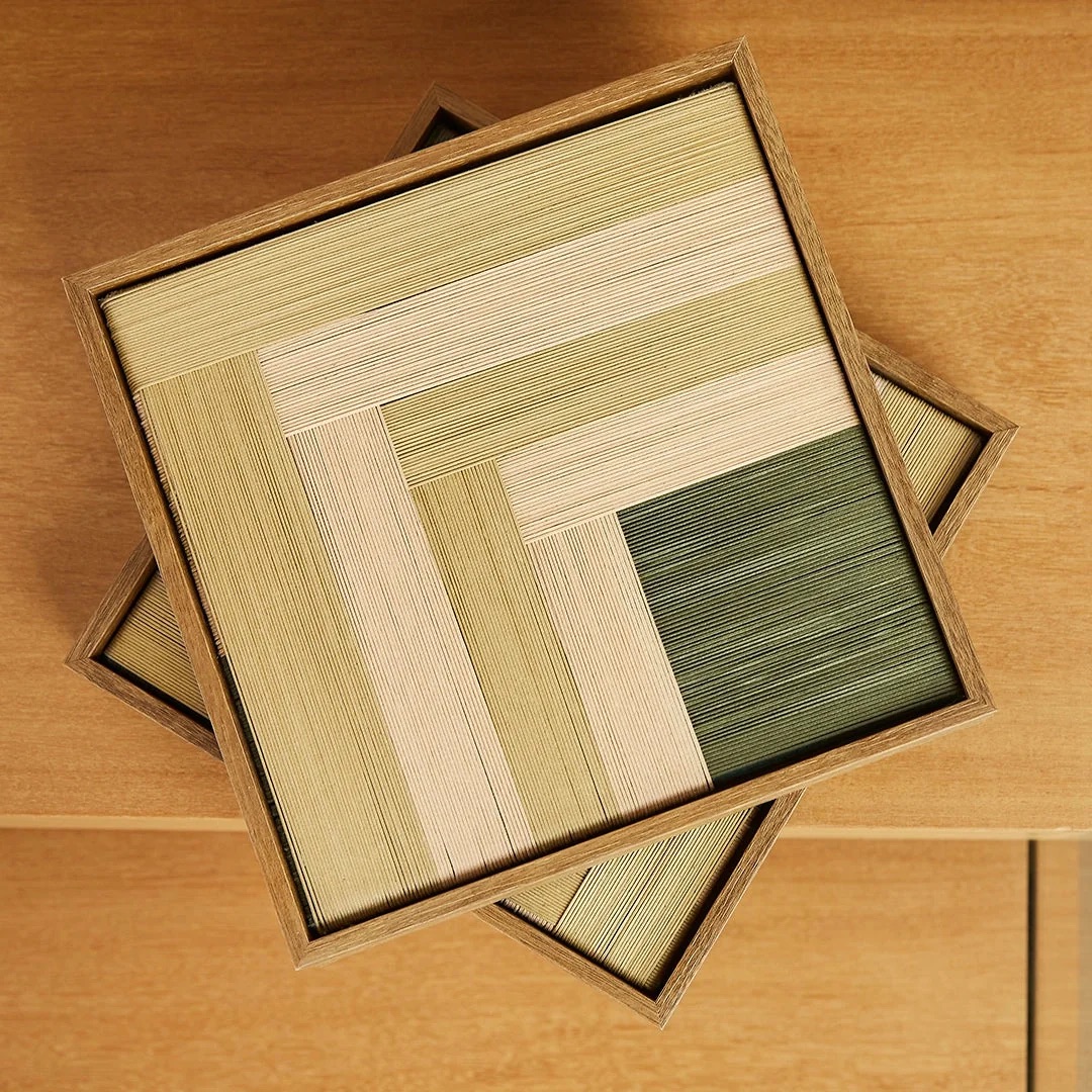 Quadro Planos Cactos - 20x20